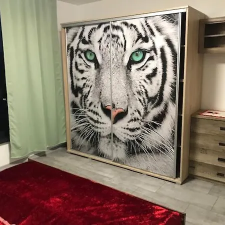 Mezadler Apartman Kassa